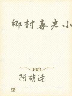 乡村春光小说