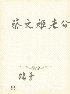 蔡文姬老公封面