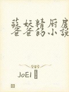 苏妖精厨房爹爹爸爸的小说