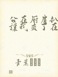 公在厨房扒开腿让我爽了在线观看封面