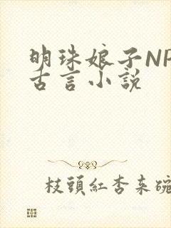 明珠娘子NPC古言小说