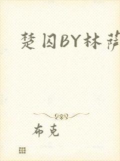 楚囚BY林萨封面