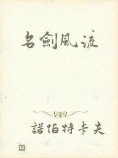 名剑风流封面
