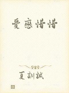 爱恋惜惜封面