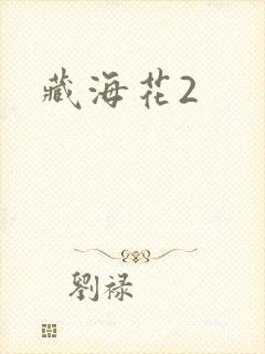 藏海花2