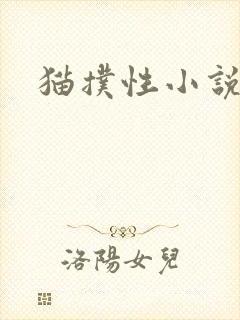 猫扑性小说