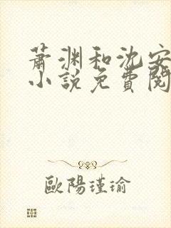 萧渊和沈安安的小说免费阅读