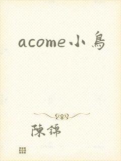 acome小鸟