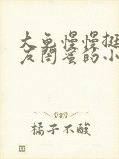 大龟慢慢挺进女友闺蜜的小说