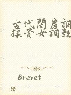 古代闺房调教h揉贵女调教记