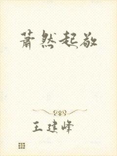 萧然起敬封面