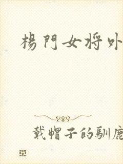 杨门女将外传封面