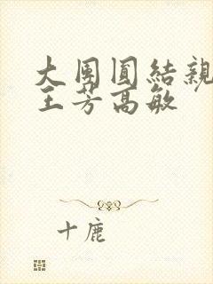 大团圆结亲情会王芳高敏封面