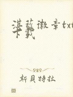 湛蓝徽章txt下载封面