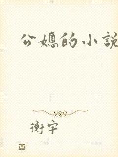 公媳的小说封面