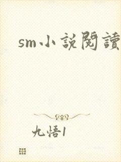sm小说阅读