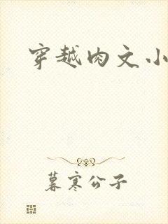 穿越肉文小说