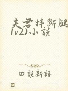 夫君摔断腿后(1v2)小说