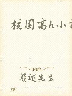 校园高h小说封面