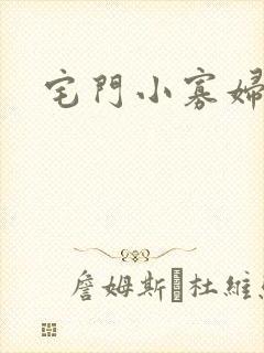 宅门小寡妇