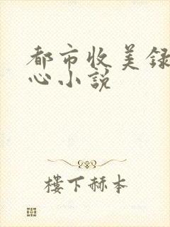 都市收美录宁素心小说