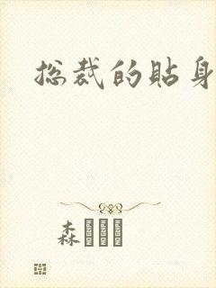 总裁的贴身女佣封面