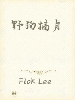 野狗摘月