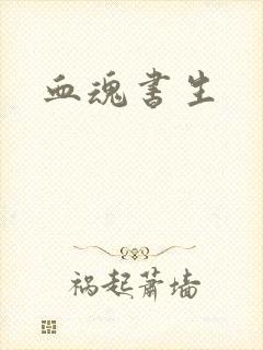 血魂书生封面