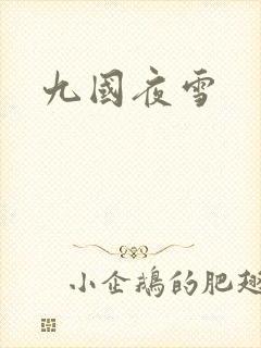 九国夜雪