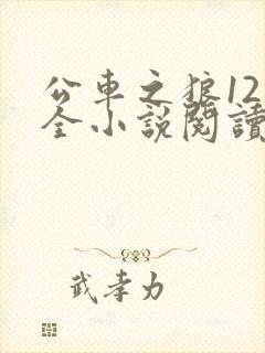 公车之狼12集全小说阅读