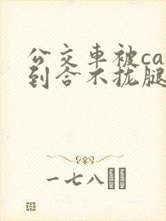 公交车被cao到合不拢腿视频