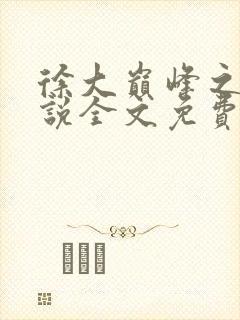 徐大巅峰之路小说全文免费阅读