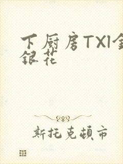 下厨房TXl金银花