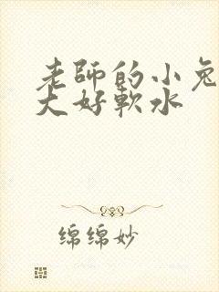 老师的小兔子好大好软水
