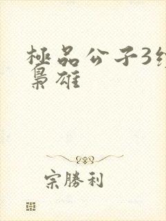 极品公子3续世枭雄封面