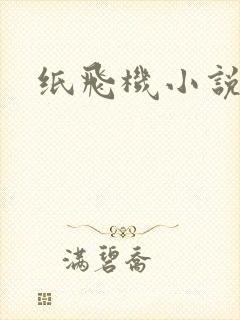 纸飞机小说