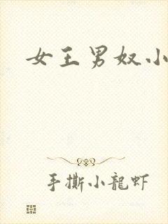 女王男奴小说封面