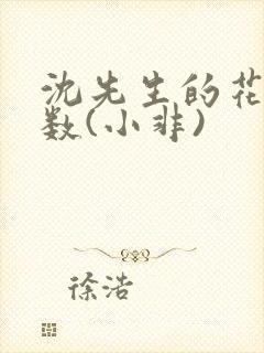 沈先生的花式调数(小非)