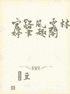 官路风云林海姜婷笔趣阁封面