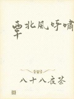 西北风呼啸的中午封面