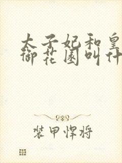 太子妃和皇帝在御花园叫什么小说