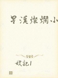 星汉灿烂小说