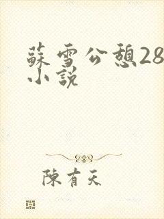 苏雪公憩28篇小说