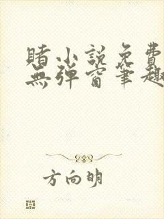 赌小说免费阅读无弹窗笔趣阁