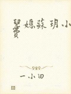 儿媳苏玥小说免费