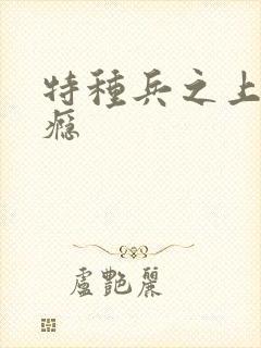 特种兵之上你成瘾封面