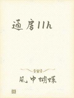 通房11h