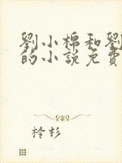 刘小棉和刘易文的小说免费阅读封面