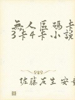 无人区码卡二卡3卡4卡小说封面