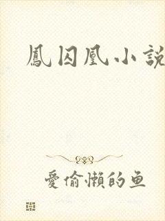 凤囚凰小说